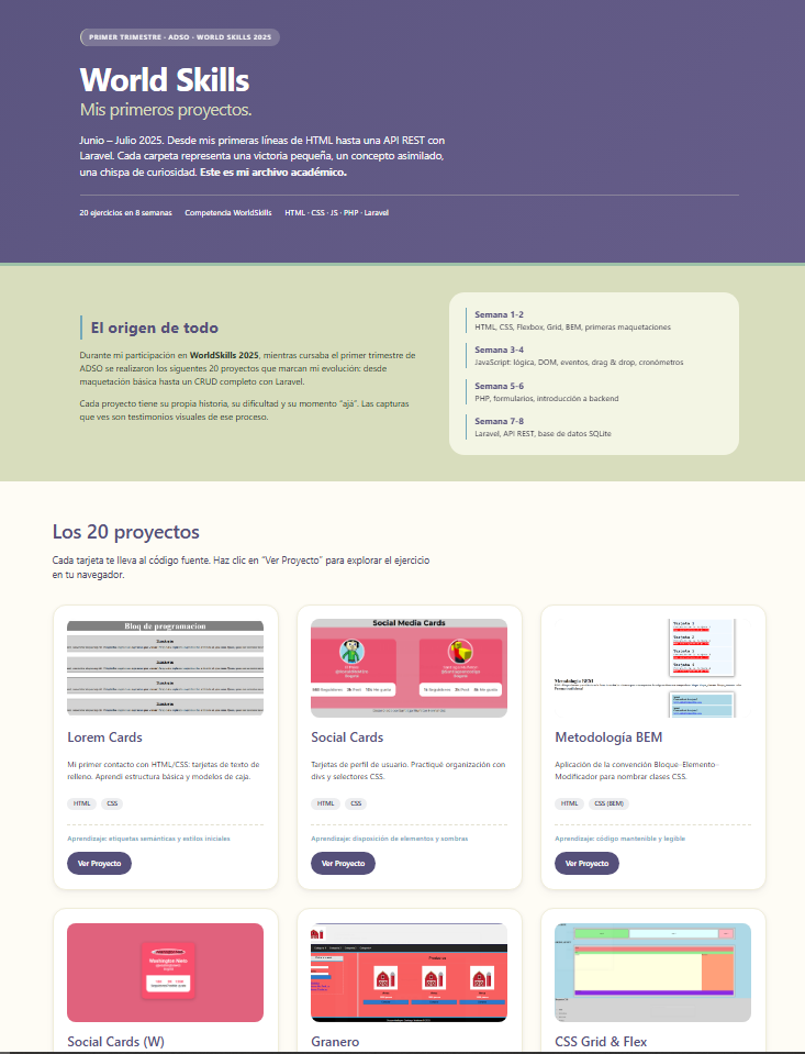 Captura de pantalla del proyecto World Skills