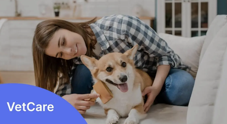 VetCare