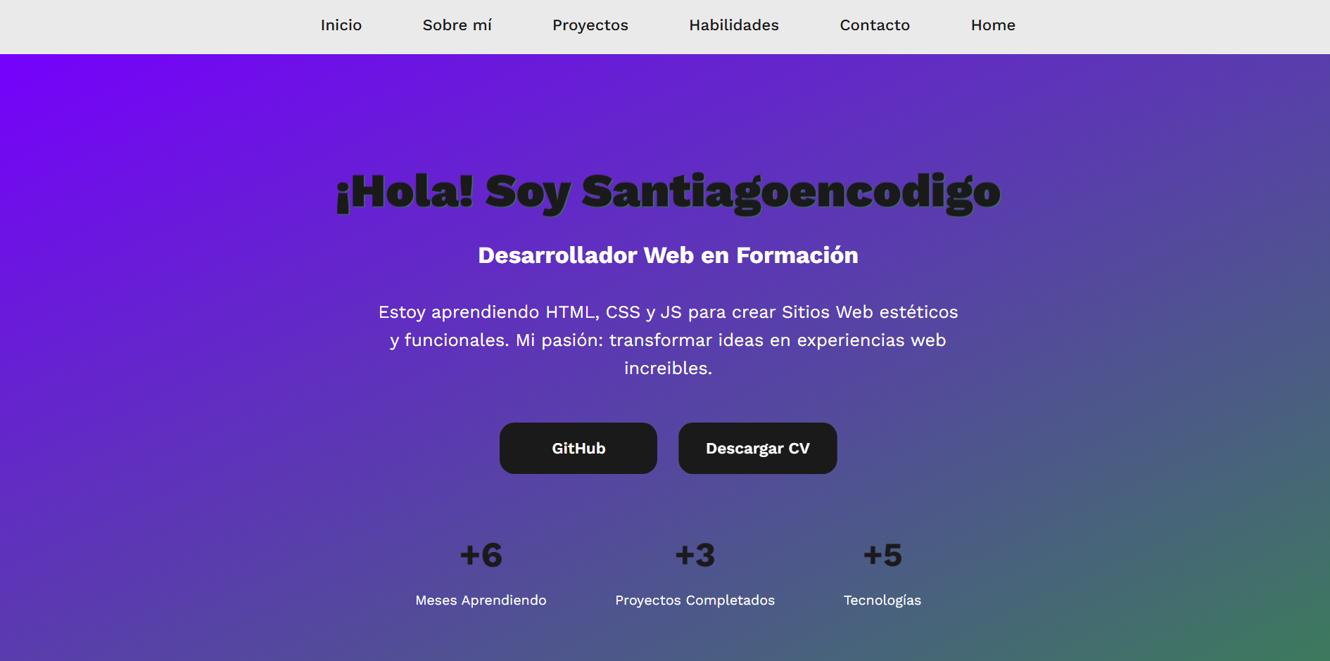 Primer Portfolio